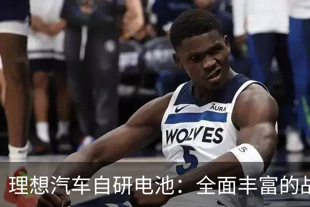 理想汽车自研电池：全面丰富的战略布局与决策考量